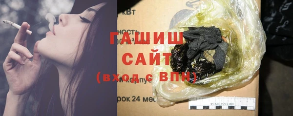 соль ск Дмитриев