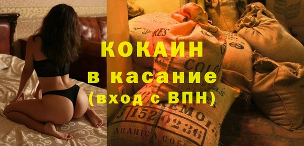 соль ск Дмитриев
