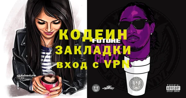 соль ск Дмитриев