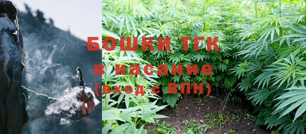 PSILOCYBIN Дмитров