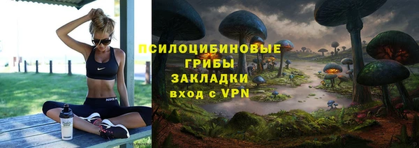PSILOCYBIN Дмитров