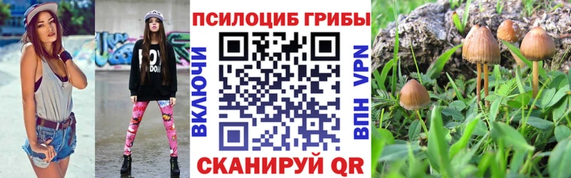 площадка клад  MEGA зеркало  Перевоз  Галлюциногенные грибы Psilocybe 